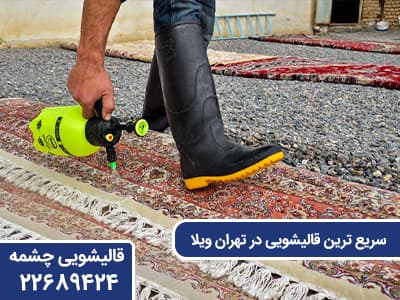 سریع ترین قالیشویی در تهران ویلا